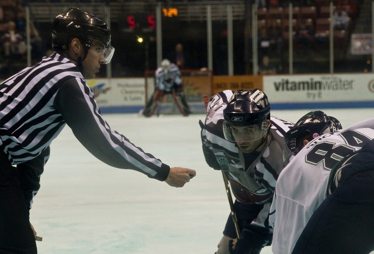 Schiedsrichter-Eishockey-Schiedsverfahren