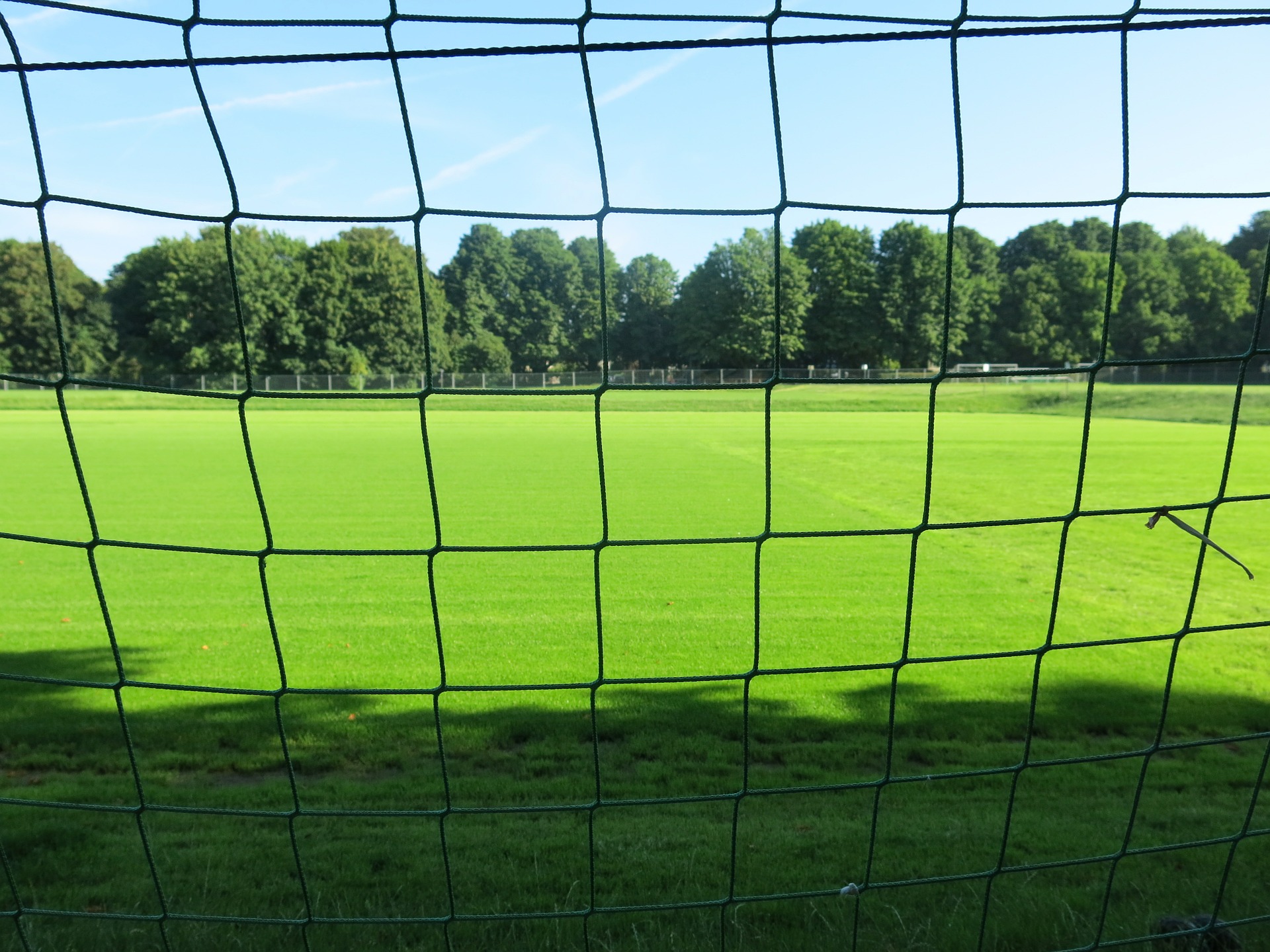 Vereinbarkeit von Ämtern in Verein und Aktiengesellschaft
